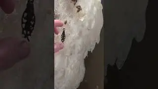 Находки металлоискателем в воде 