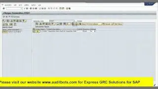 security in SAP-Custom transaction SU24 Settings