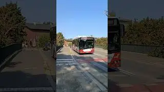 MZK Opole. Solaris Urbino 12 electric #autobusy #buses #solaris