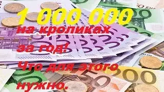 1000000 на кроликах в год. Легко. Секреты успеха кролиководства.