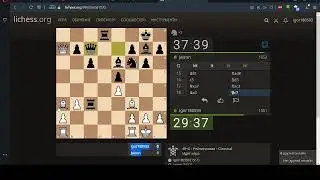 Шахматы онлайн №4 Учимся играть достойно!