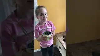 Kids grew cat grass for a treat 