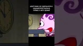 Че за ПЗДЦ #мемы #memes #мем