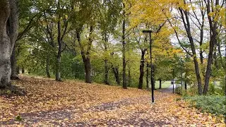 Sweden 🍁 Autumn walk in Stockholm 4K