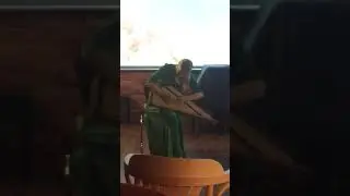 Хобби.  Музыкальные гусли.