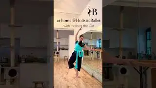 Barre Stretch With Cat In Baby Sling | 