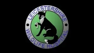 Leicestershire Wildlife Hospital Documentary