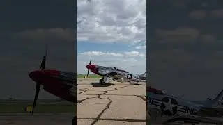 P51 Mustang Taxing #aircraft #warbird #aviation