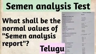 Semen analysis report | Semen analysis normal report