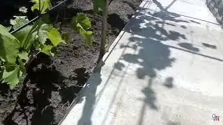 Отмостка 3 часть