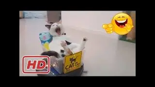 LIKE A BOSS COMPILATION 😎😝😀 FUNNY 10 MINUTES 🐉🔥🌎 #9