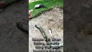 Fishing the perfect Relationship #funny #bass #fishing