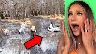 TikTok memes that kept me up last night | JustMaddyx Reaction