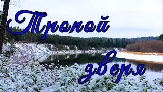 В МЕДВЕЖИЙ УГОЛ...