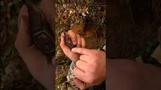 Нашли наручные часы солдата второй мировой войны! #watch #time #время #relic #ww2 #metaldetecting