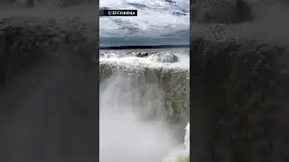 Los Vencejos y las Cataratas del Iguazú #shorts