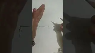 use of Protractor