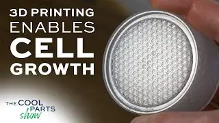 3D Printed Bioreactors Enable Cell Growth | The Cool Parts Show Ep. 70
