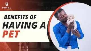 Having a Pet Can Improve Your Selfcare | Benefits of having pets | The Health Benefits