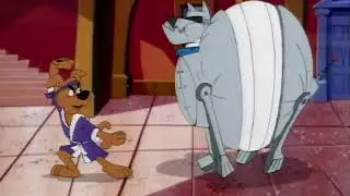 Robopup Inflation