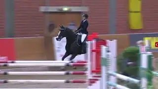 Vivian Martin & Botakara (Balou du Rouet x Espri) - Springfestival Timmel - jumping horses class M