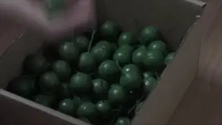 Cat1 vuurwerk unboxing Pyroshopping.nl [2016-2017]