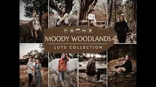 Moody Woodlands Video LUTs | Moody LUTs | Woodlands LUTs | Influencer LUT | Video Preset | Vn LUT
