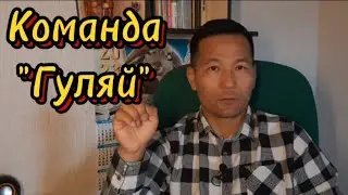 4. Как приучить собаку переходить в свободное состояние, по команде 