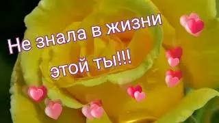 С ДНЕМ РОЖДЕНИЯ//МУЗЫКАЛЬНАЯ ОТКРЫТКА//