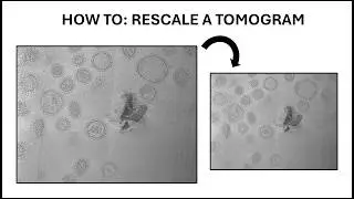 How to rescale the pixel size of a tomogram