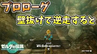 プロローグを逆走してみるとその先には…？(ver1.1.1)【ティアキン TotK】裏技 バグ 検証 ゆっくり実況 glitch