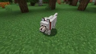 COME COSTRUIRE UNA TANA PER IL TUO CANE SU MINECRAFT