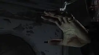 5-2 Ride or Die- Resident Evil 4 Part 18