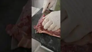 Carving Deer Meat
