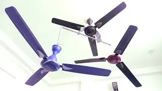 Ceiling fan comparison USHA fan vs Candes or Crompton fan There are 3 fan together‼️