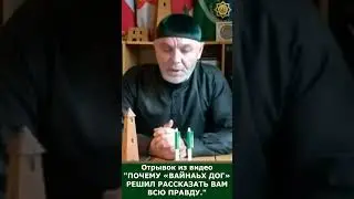 СОВЦА ЗУЛАМХОЙ!!! Отрывок из видео - ПОЧЕМУ «ВАЙНАЬХ ДОГ» РЕШИЛ РАССКАЗАТЬ ВАМ ВСЮ ПРАВДУ