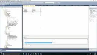 Microsoft SQL Server Management Studio Part 9 - Add and Drop Constraints INSERT Data