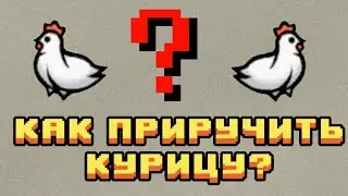 КАК ПРИРУЧИТЬ КУРИЦУ?//ДЕБИЛЬНЫЕ ЛАЙФХАКИ//RimWorld