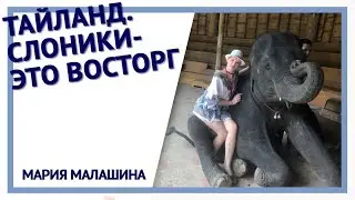 Тайланд. Слоники - это восторг