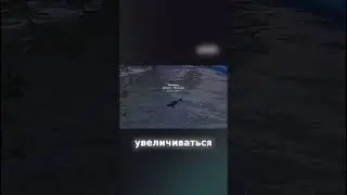Акулы уже в расте! #rust #раст