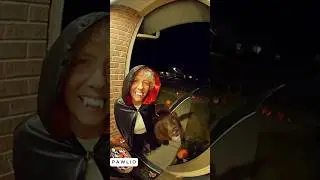 Grandma bear Halloween funny moment #bodycam #dashcam #funny #ai #Halloween  #sora2 #grandma #bear
