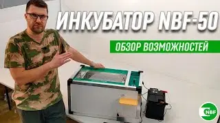 Инкубатор NBF-50. Обзор возможностей
