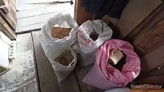 Минус одна курица. Комбикорм для кур своими руками. Садим кур на диету.