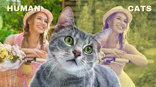 Cat Vision : How cats see the world?