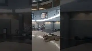 McCarran International Airport Terminal 1 Las Vegas Nevada 2021 