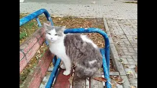 ВИДЕО КОТОРОЕ ЗАСТАВЛЯЕТ ЗАДУМАТЬСЯ