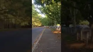 Camry 50 2.5 vs Mazda CX-7 2.3 (race1 finish)