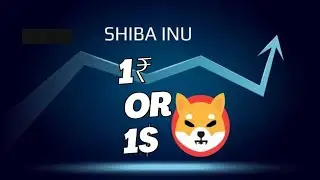 SHIBA INU 1 ₹ or 1 $