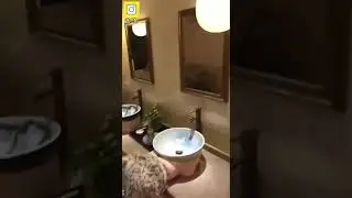 Технологии 21 века