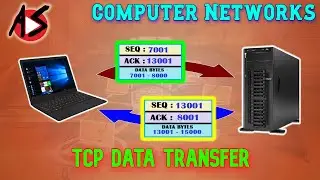 TCP Data Transfer in Computer Networks